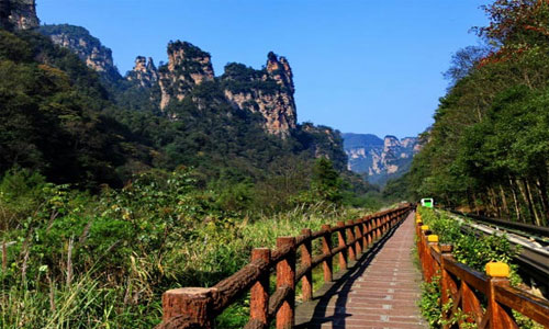 Ten-mile Natural Gallery